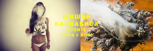 крисы Наволоки